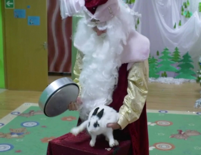 Волшебный Дед Мороз (фокусник с кроликом) и Снегурочка Волшебный Дед Мороз (фокусник с кроликом) и Снегурочка